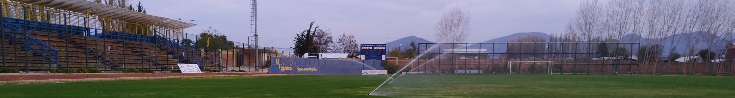 estadio